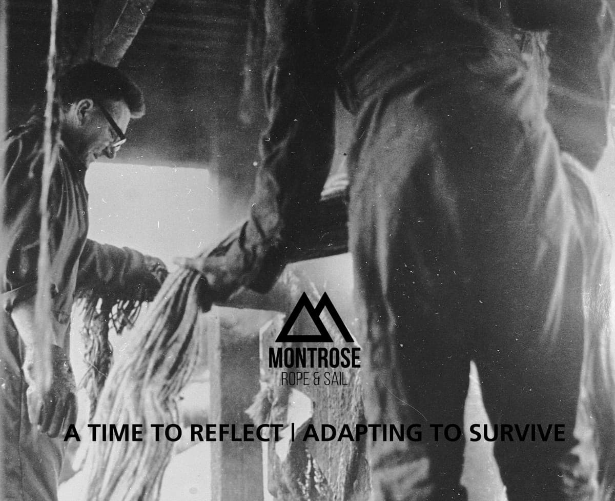 A Time To Reflect | Adapting To Survive